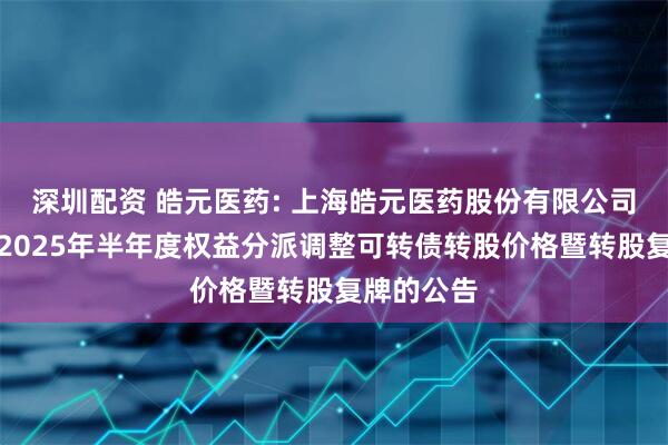 深圳配资 皓元医药: 上海皓元医药股份有限公司关于实施2025年半年度权益分派调整可转债转股价格暨转股复牌的公告