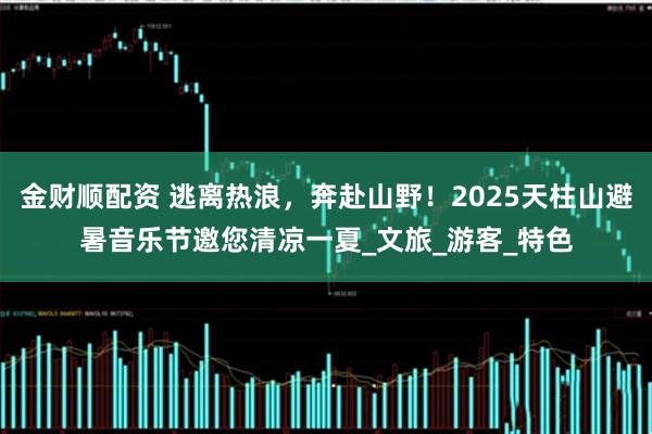金财顺配资 逃离热浪，奔赴山野！2025天柱山避暑音乐节邀您清凉一夏_文旅_游客_特色